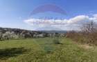 Teren Construcții intravilan de 1600 mp, în Cărbunari - 5