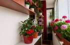 Apartament 2 camere decomandat Valea Lupului - 3
