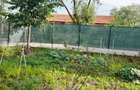 Casă cu 4 camere cu Teren 748 Mp în Cristian - 5