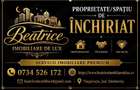 Agentia Beatrice Imobiliare de Lux - 3