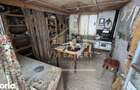 CASA 4 CAMERE TEREN 3038 MP ALBE?TII DE MUSCEL - 8