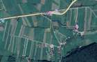 Teren 5886 mp In Bucovina - Bucsoaia! De Vanzare! 0727817187 - 4