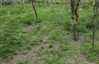Intravilan la DJ Glambocelu-Bogati, accept si schimburi - 3