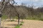 Casă Maldaresti Vâlcea  Horezu conac - 8