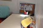 Apartament cu 2 camere decomandat în Bucureștii Noi - 11
