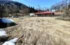 Casa de vacan?a sau locuin?a in Apuseni | 3300 mp teren | Avram Iancu - 8