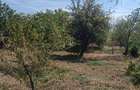 Casa de Vanzare in localitatea Jidostita jud MH - 3