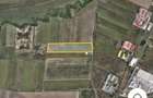 AV654 Teren extravilan Giarmata-Dunca, 18.335 mp, zona industriala - 1