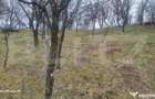 TEREN INTRAVILAN VEDERE PANORAMICA La 2 km de Manastirea CRA - 15