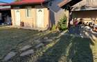 vand teren dumbravita 79000 euro - 8
