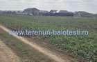 Teren de 500 mp, în Balotești - 9