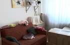 Apartament decomandat în Pantelimon - 6