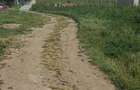 Teren agricol extravilan de 2496 mp, în Periferie - 7
