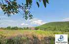 Casa de vanzare cu teren 5.264 mp, Sat. Visterna, Jud Tulcea (7,6 Euro / mp) - 2