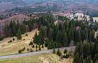 Teren intravilan de 1000 mp, în Poiana Brașov - 4