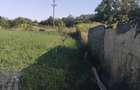 Vand casa noua localitatea Glganu de sus judetul Arges - 10