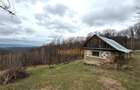 Teren 34.000 Mp | Serani Bihor - 3
