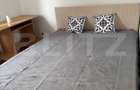 Apartament cu 2 camere decomandat în Podu Roș - 4