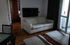 Apartament cu 2 camere nedecomandat în Domenii - 9