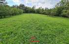 Teren intravilan in Poiana Campina--3287mp--10e - 7