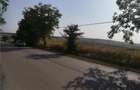 Teren de 5000 mp, în Cristești - 2