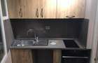 Apartament o camera Sagului - 3