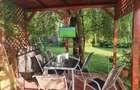 Casă individuală cu 4 camere cu Teren 800 Mp în Gulia - 4