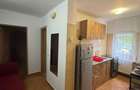 Inchiriez apartament cu o camera - 5