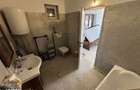 Casa 120 mp utili + 12 ari teren, garaj, Satu Mare, str. Ambudulu - 1