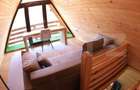 Cabana A-frame in Vama, 110 mp, 1800 mp teren - 16