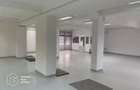 Spațiu comercial 214 MP, Freidorf, disponibil din 1 Octombrie - 3