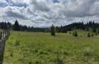 TEREN EXCEP?IONAL 2 Ha PE VIA TRANSILVANICA IN BUCOVINA - 2