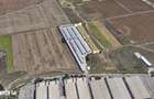 Vanzare sau inchiriere. Teren 7500mp, langa Dragonul Ro?u - 3