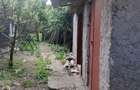 Casa de vanzare in Ciclova Romana locuin?a confortabila avand curte ?i gradina - 2