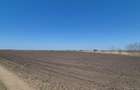 GRADISTEA - Sat Sitaru, teren agricol 11.961mp, ideal investitie - 6