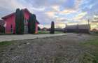 Casa de vanzare - Restaurant - lac - 6