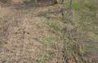 Casă cu 4 camere în Vitomirești - 6