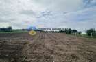 Teren- Com. Stefan cel Mare- jud. Neamt - 12