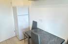 Garsoniera de inchiriat ,zona mall Sanpetru - 8