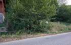 Teren Intravilan cu Utilitati la Strada si Padure in Spate Padurea Neagra, Bihor - 3
