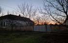 Casă cu Teren 2156 Mp în Dudeștii Vechi - 2