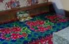Casa cu 2 Camere, Curte Generoasa ,Camara ?i Pivni?a - Localitatea Talagiu, Jude?ul Arad - 5