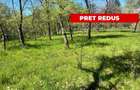 Teren intravilan, Comuna Corbi, Jud. Arges, toarte utilitatile - 4