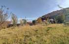 Teren Intravilan Bunloc