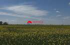 Teren de vanzare in Baicoi DN1 | 5.000 mp - 7