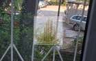 Apartament 3 camere parter Lipovei 90000Euro - 8