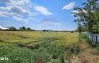 Teren 15,000mp Salcea-Prelipca, Suceava - 12