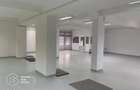 Cladire comerciala Freidorf /Timisoara