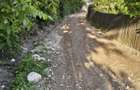Teren intravilan, aproape de Ramnicu Valcea - 2