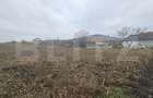 Teren extravilan 9000 mp, Ocna Mures - 1